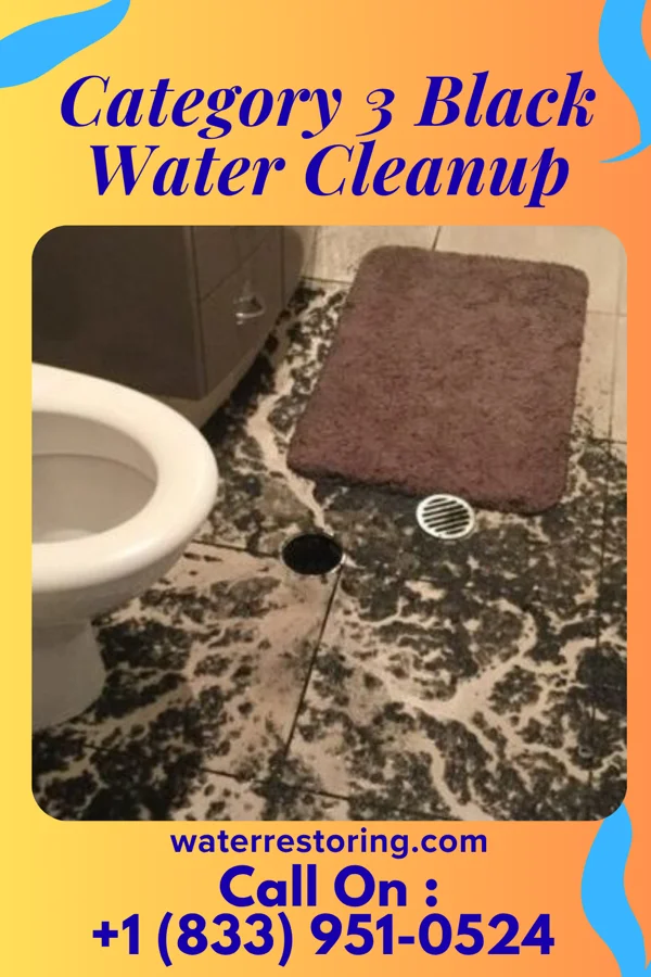Category 3 Black Water Cleanup in Ravenna, NE